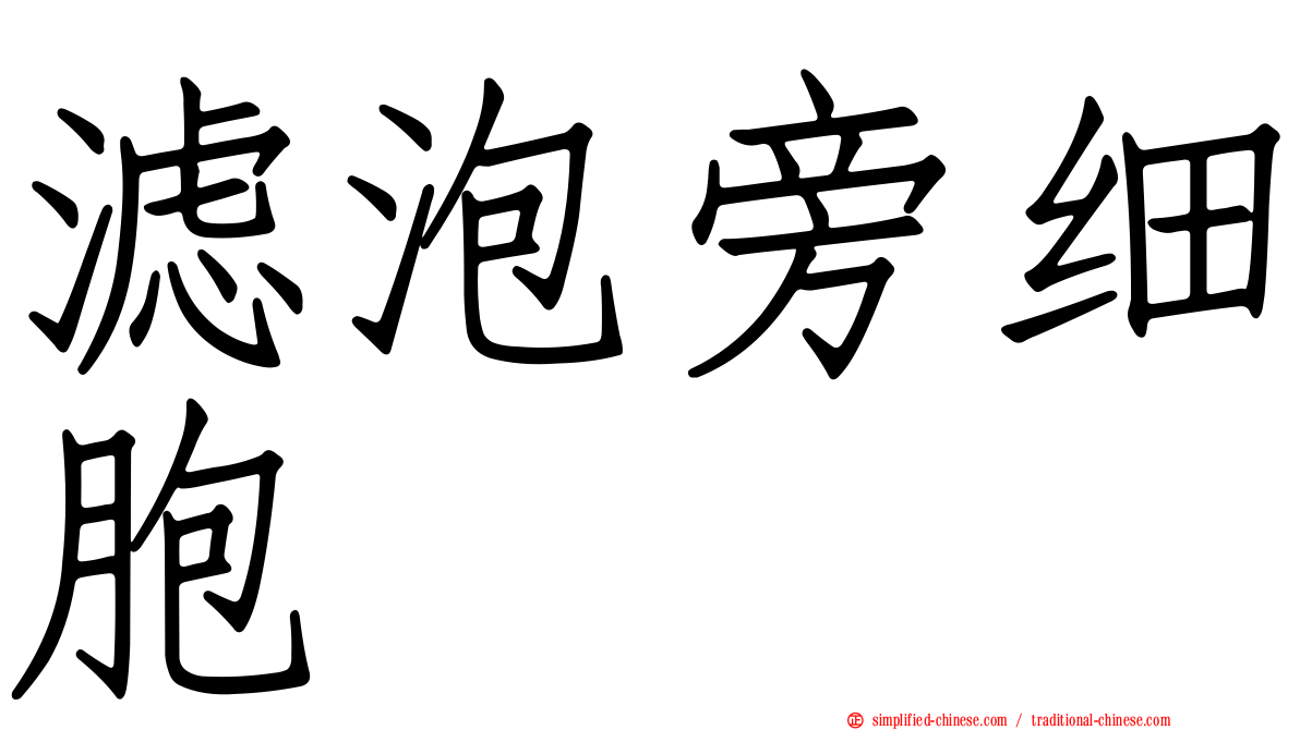 滤泡旁细胞
