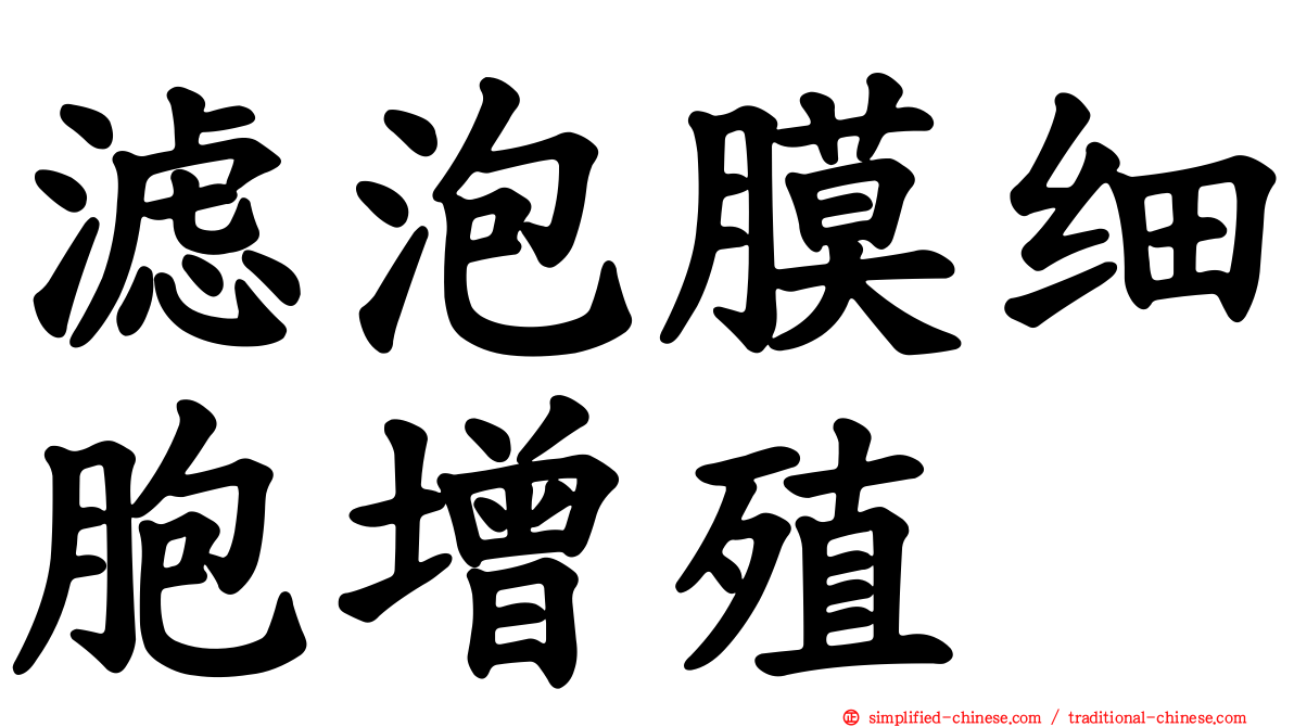 滤泡膜细胞增殖