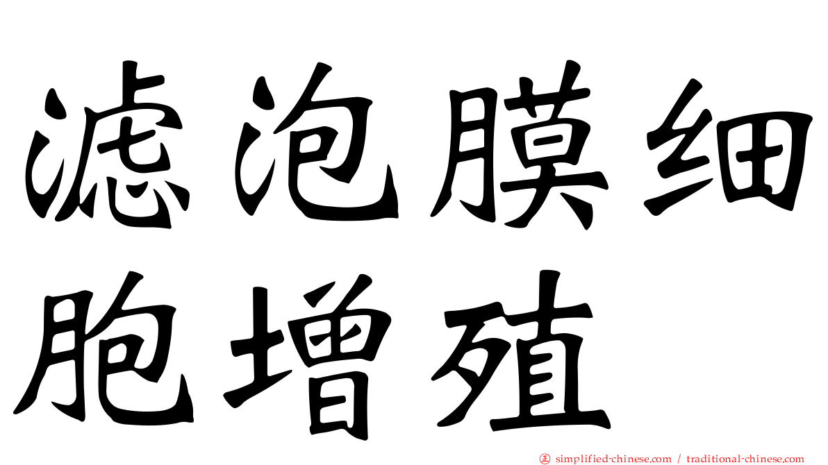 滤泡膜细胞增殖