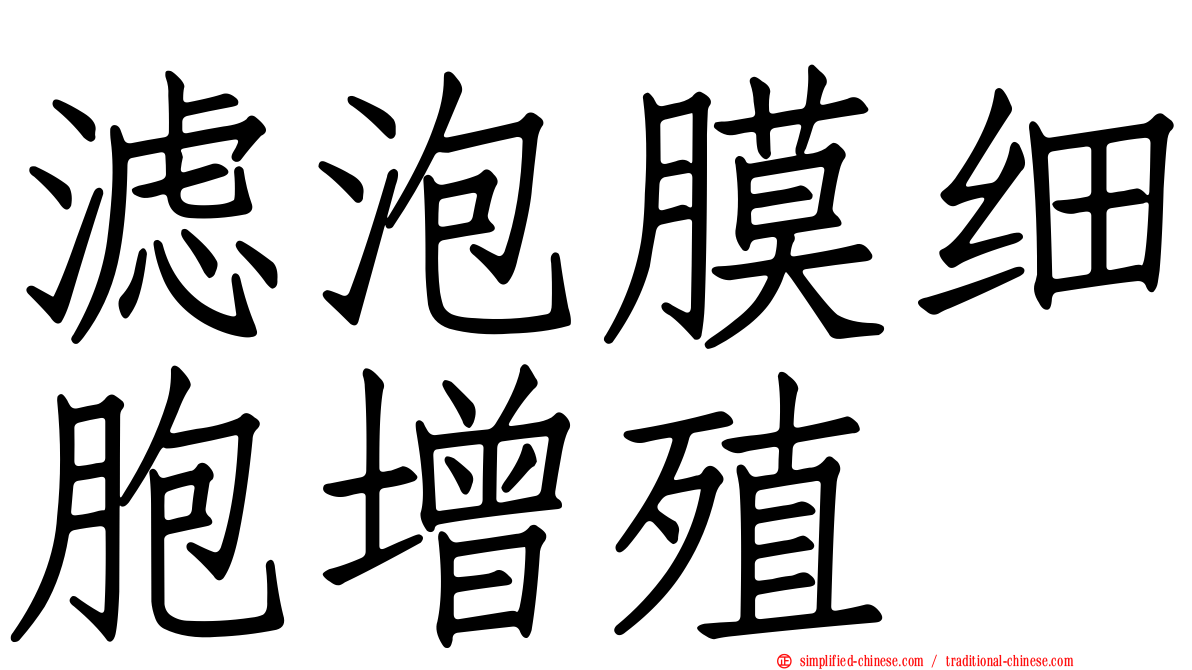 滤泡膜细胞增殖
