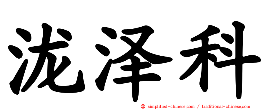 泷泽科