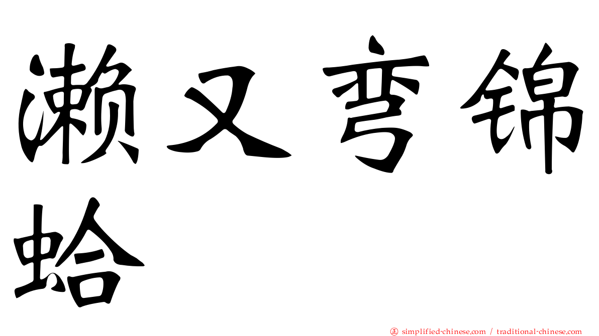濑又弯锦蛤