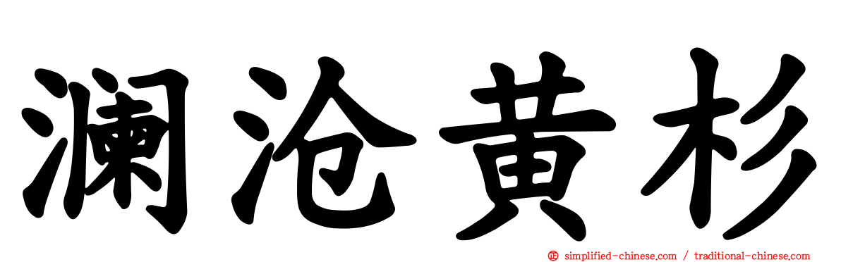 澜沧黄杉