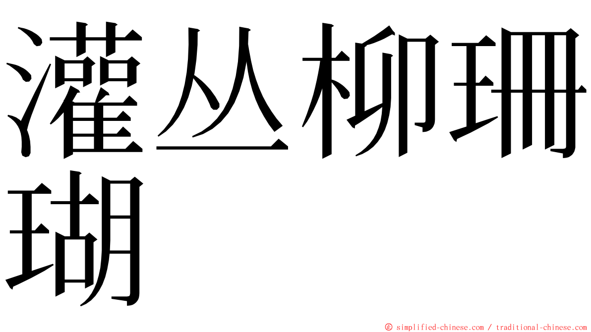 灌丛柳珊瑚 ming font