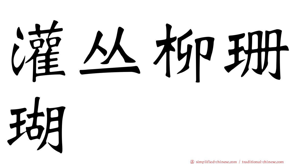 灌丛柳珊瑚