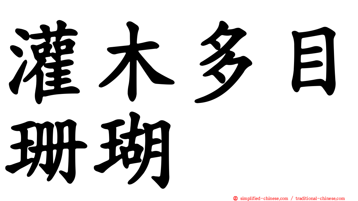 灌木多目珊瑚