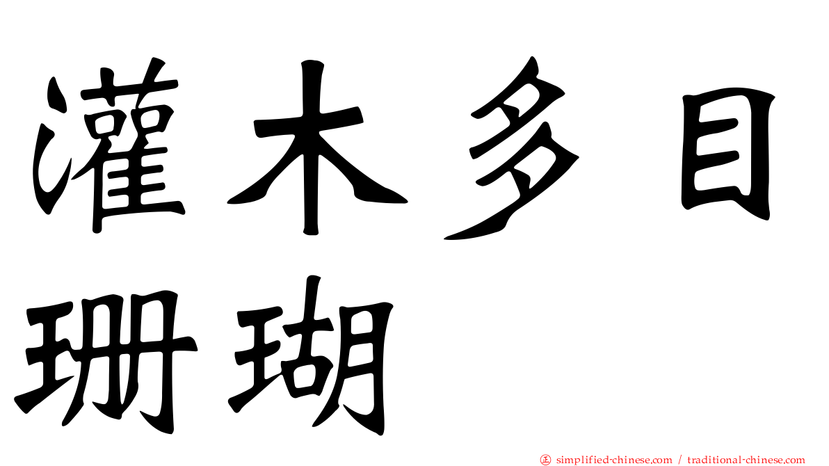 灌木多目珊瑚