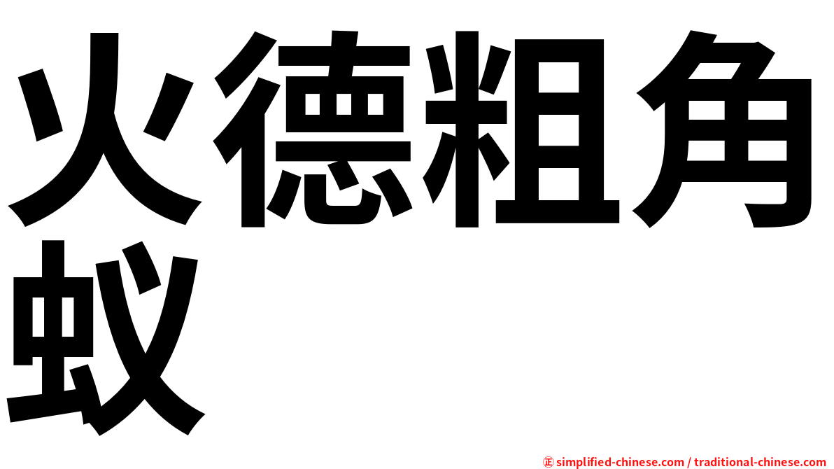 火德粗角蚁