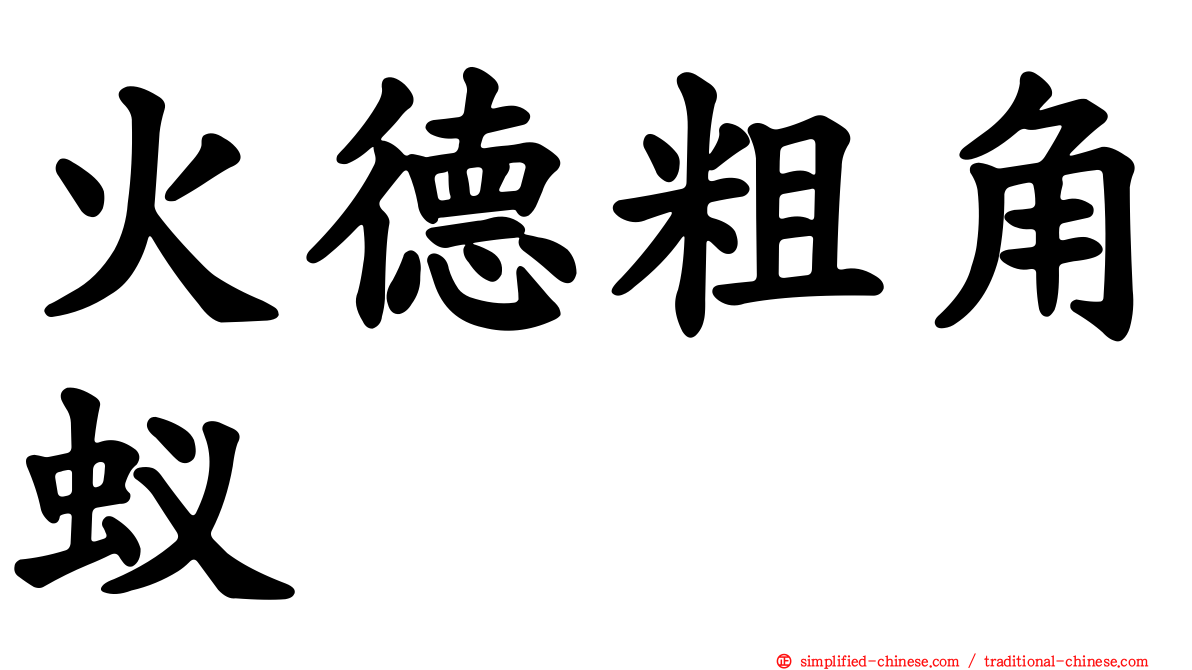 火德粗角蚁