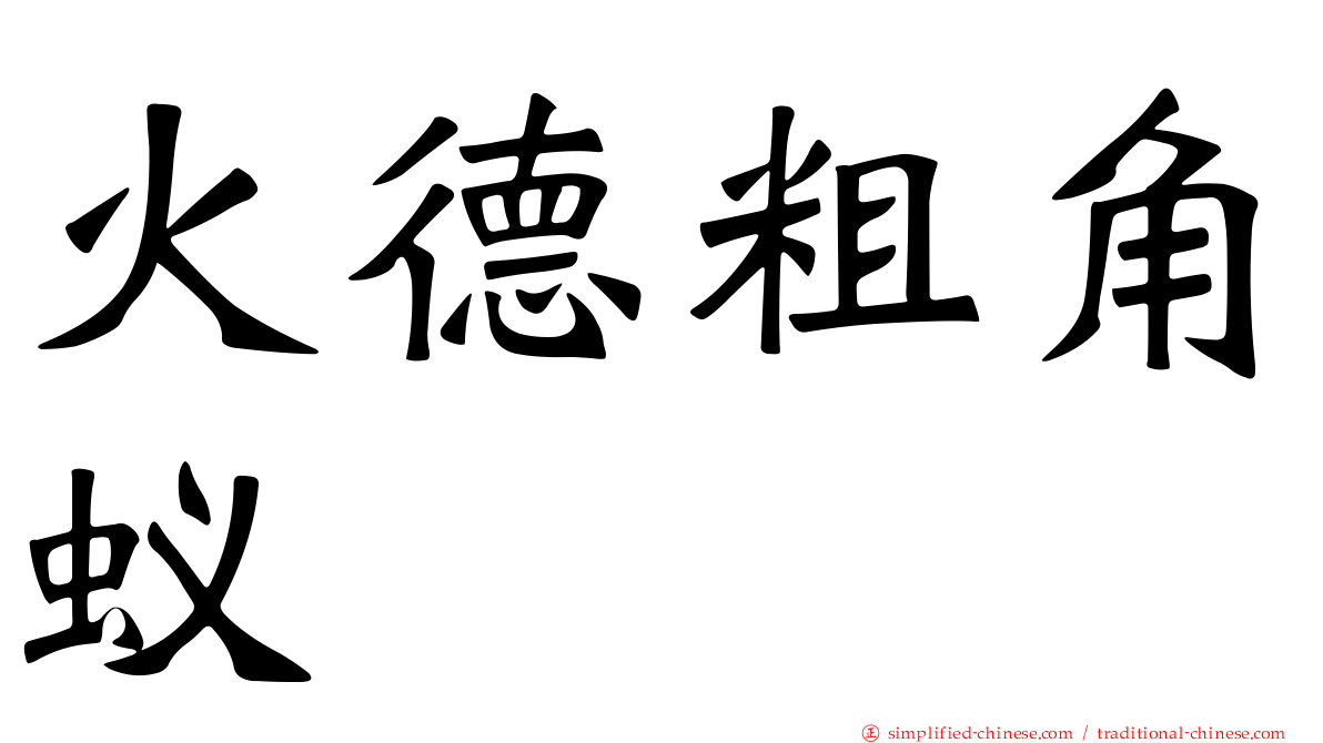 火德粗角蚁