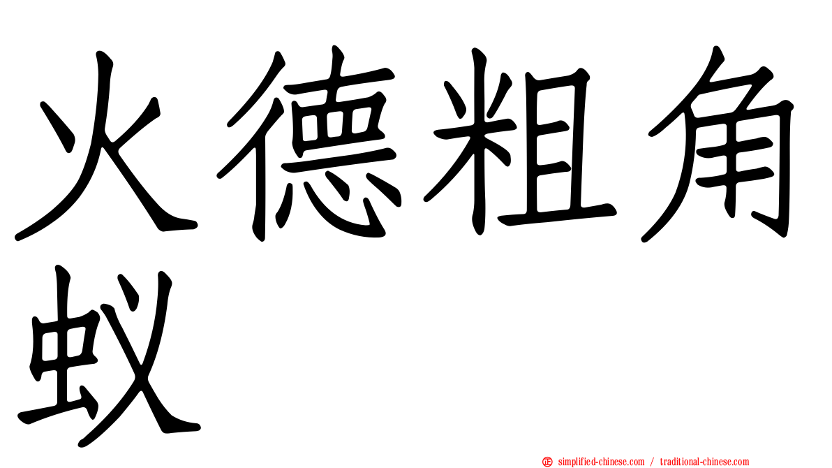 火德粗角蚁