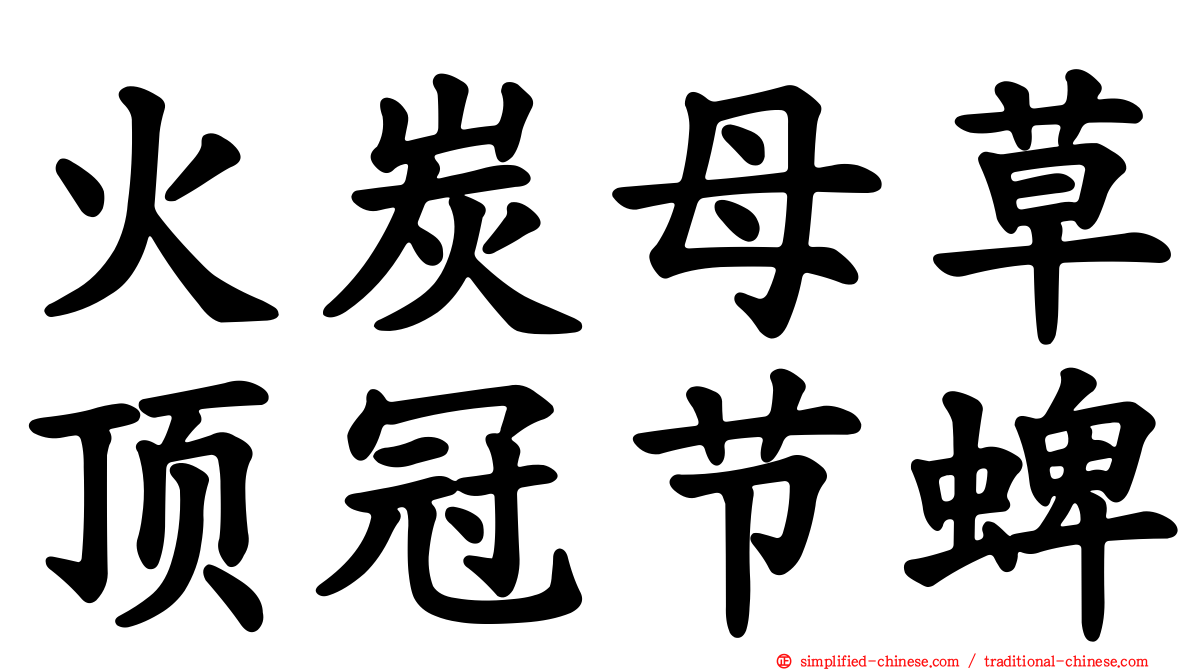 火炭母草顶冠节蜱