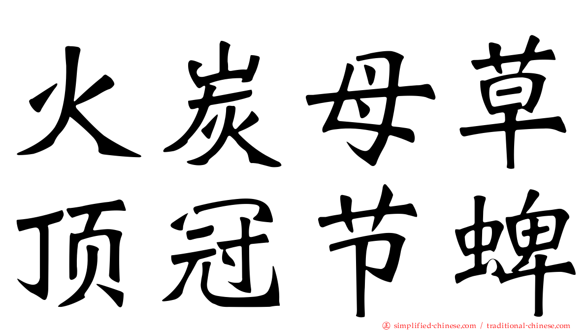 火炭母草顶冠节蜱
