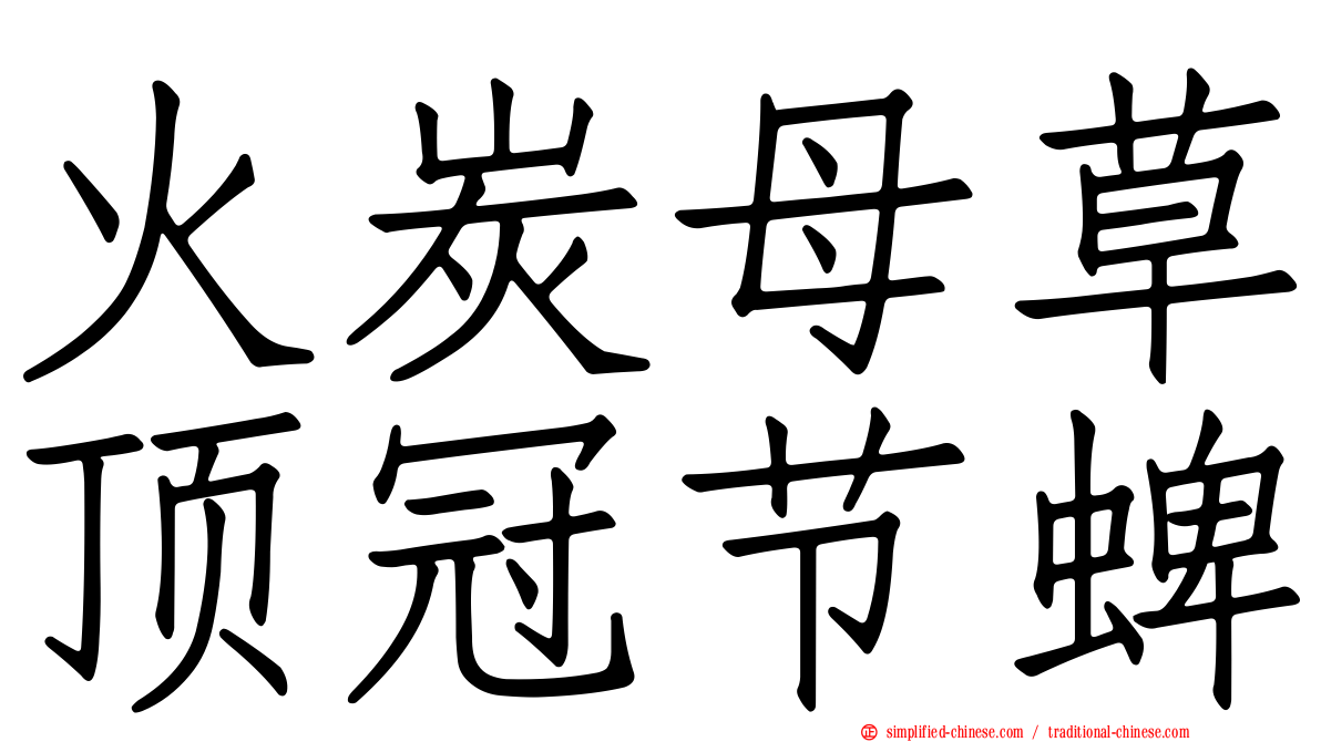 火炭母草顶冠节蜱
