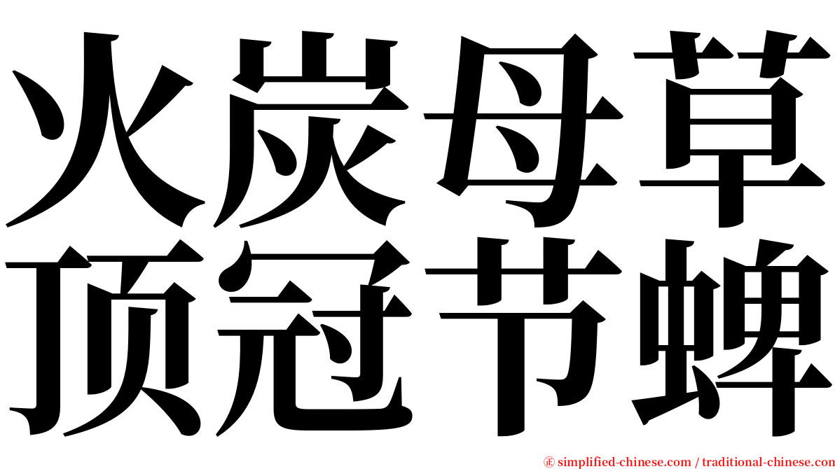 火炭母草顶冠节蜱 serif font