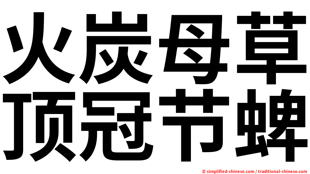 火炭母草顶冠节蜱