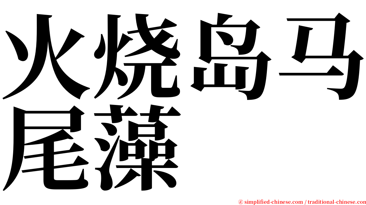 火烧岛马尾藻 serif font