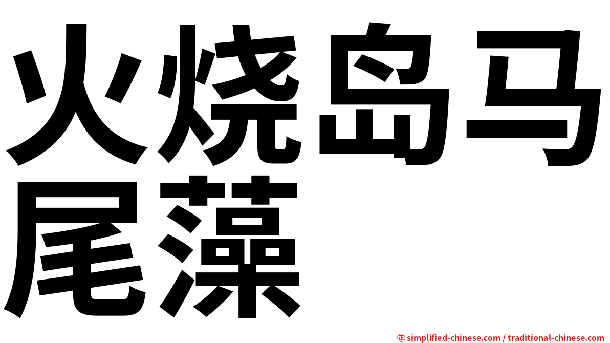 火烧岛马尾藻