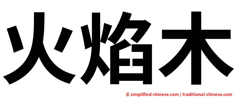 火焰木