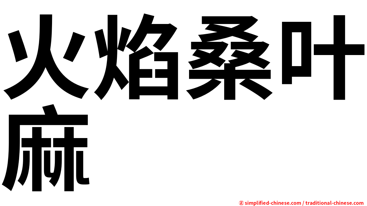 火焰桑叶麻