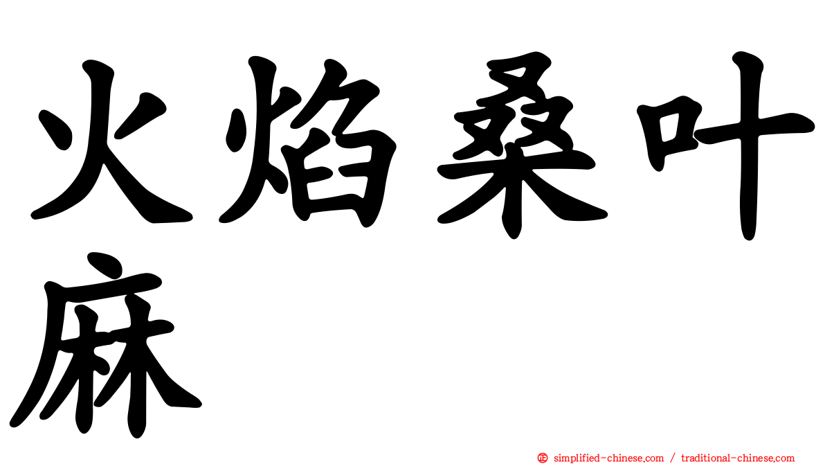 火焰桑叶麻