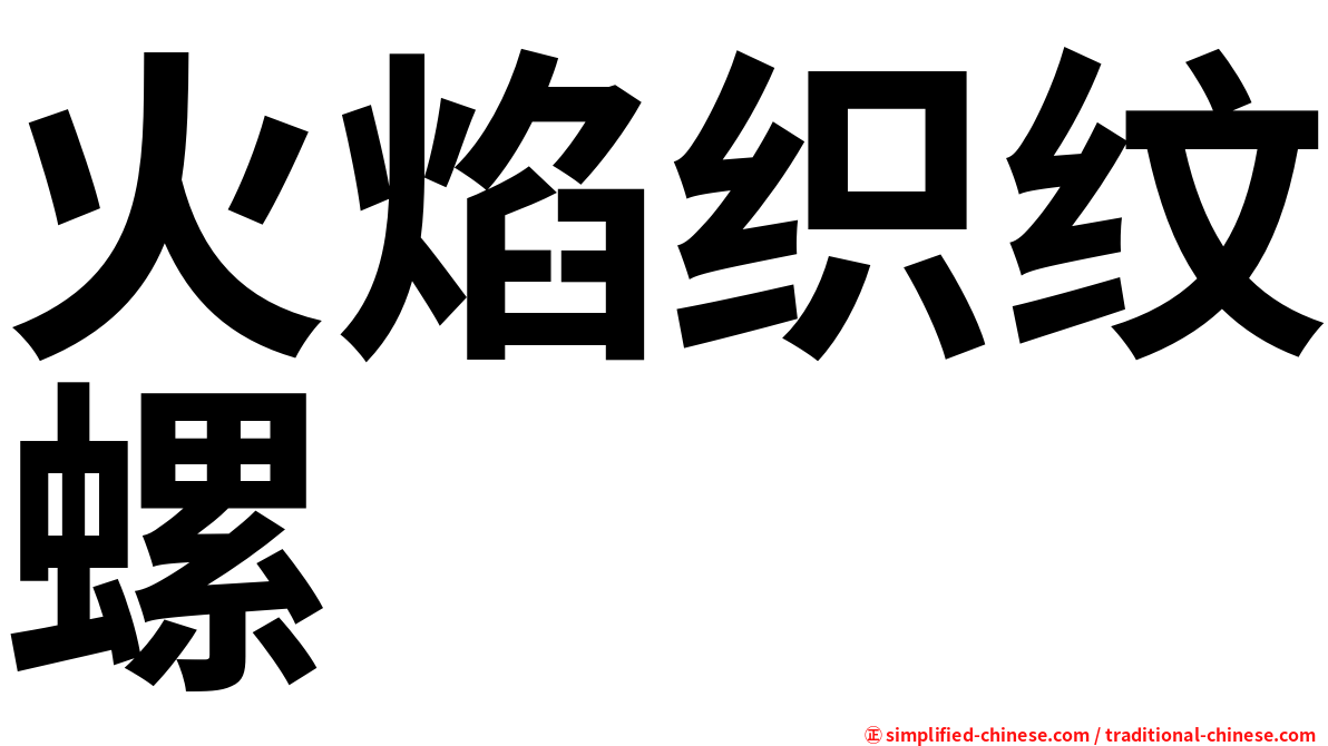 火焰织纹螺
