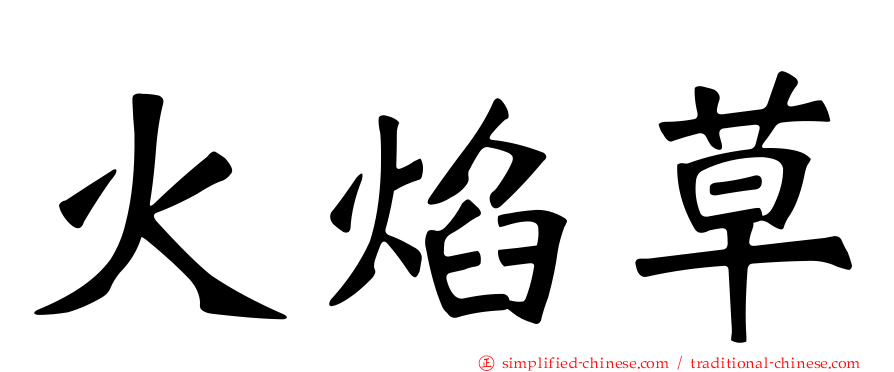 火焰草
