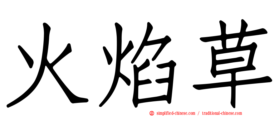 火焰草