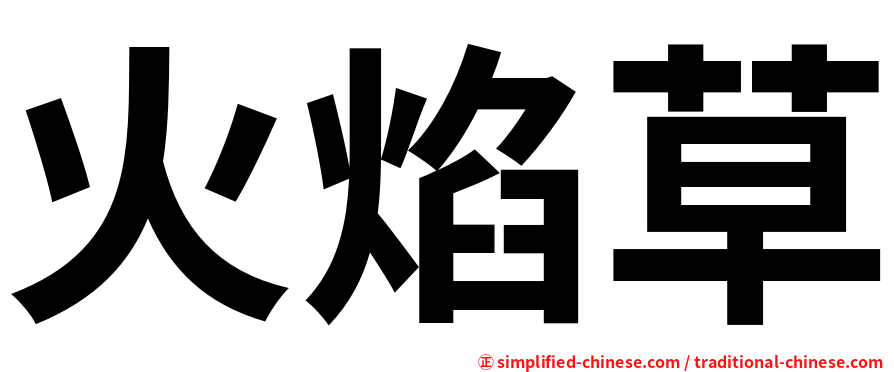 火焰草