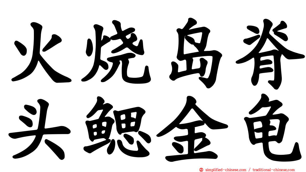 火烧岛脊头鳃金龟