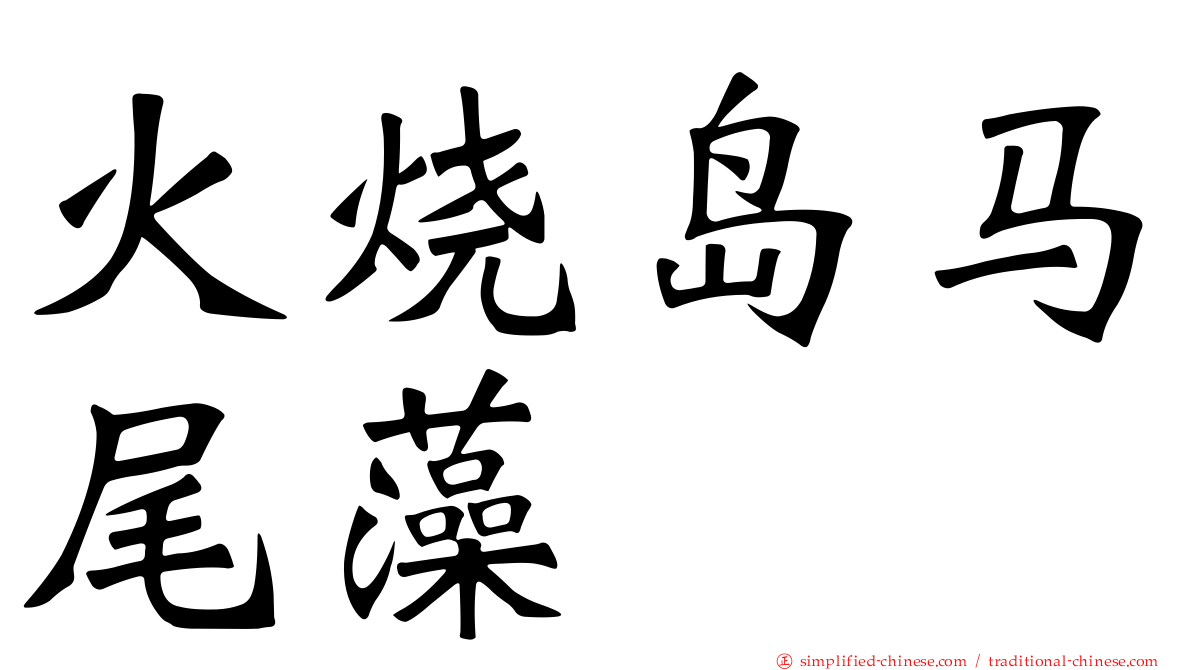 火烧岛马尾藻