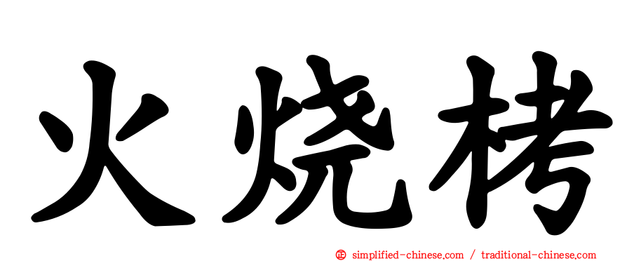 火烧栲