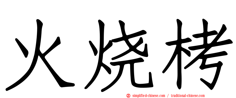 火烧栲