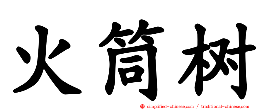 火筒树
