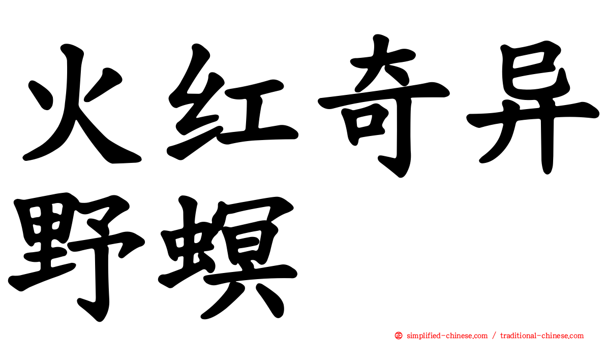 火红奇异野螟