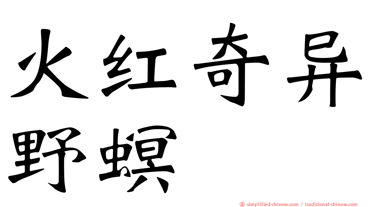 火红奇异野螟