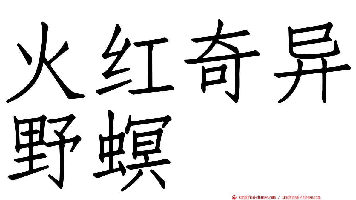 火红奇异野螟