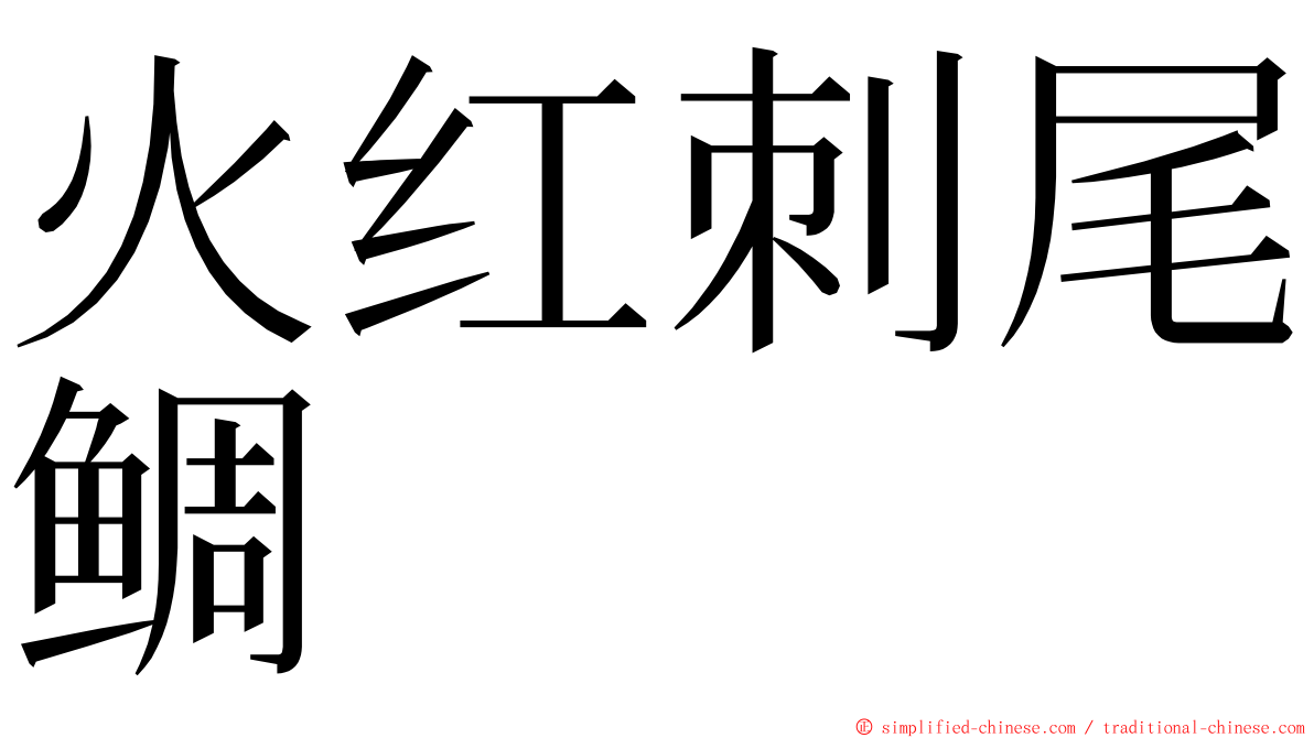 火红刺尾鲷 ming font