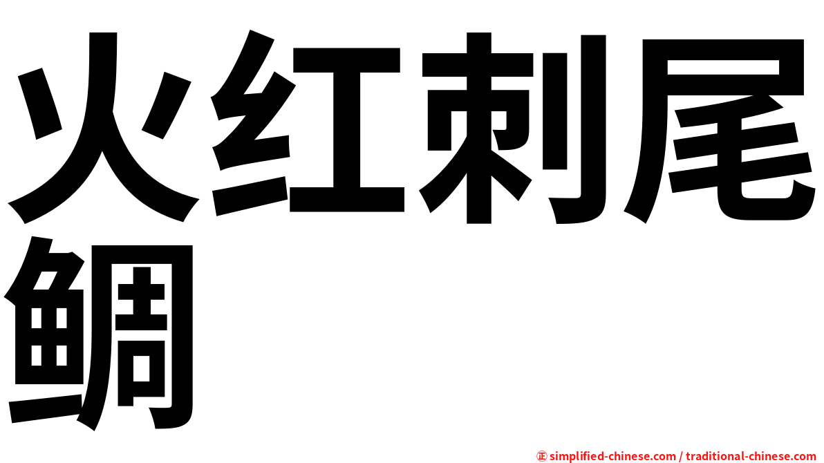 火红刺尾鲷