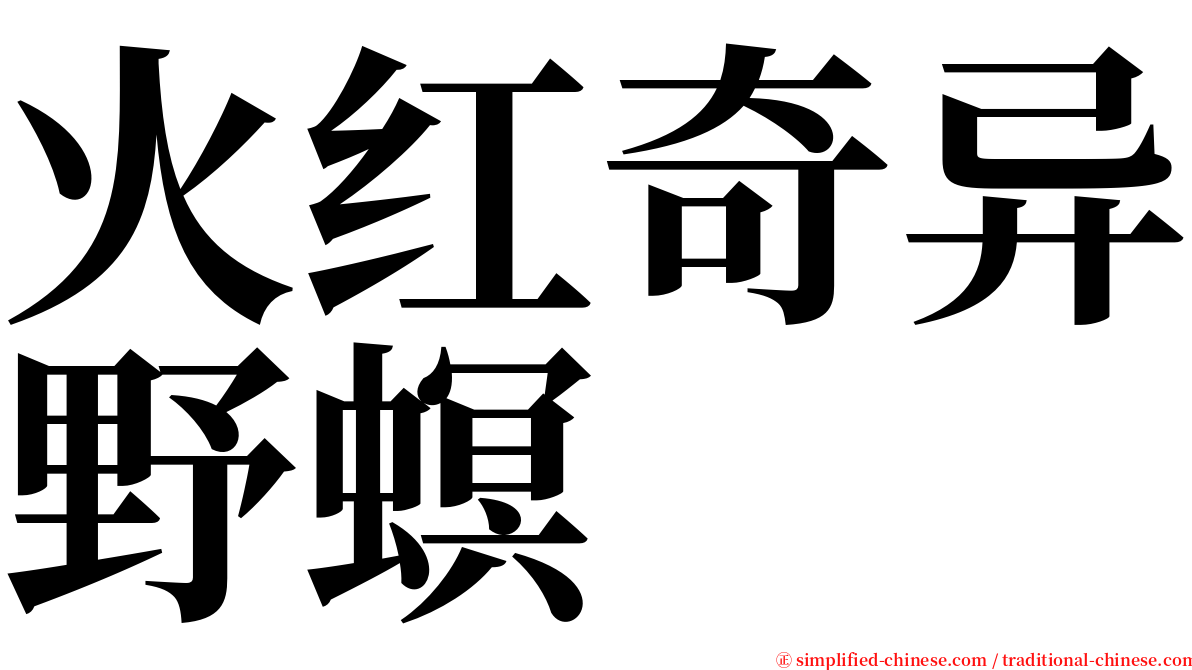 火红奇异野螟 serif font