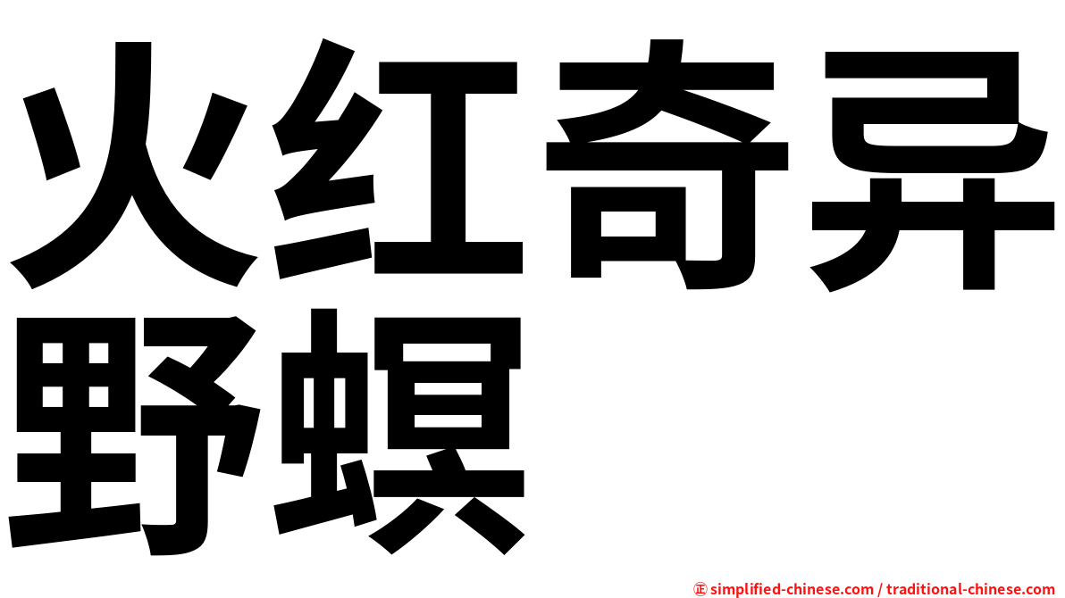 火红奇异野螟
