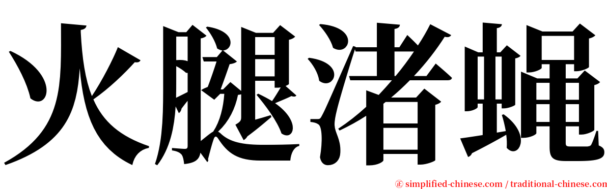 火腿渚蝇 serif font