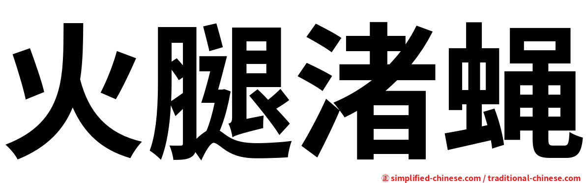 火腿渚蝇