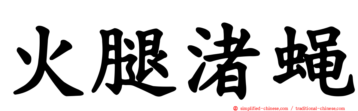 火腿渚蝇