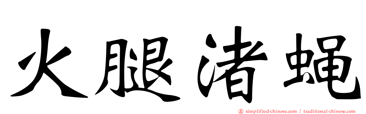 火腿渚蝇