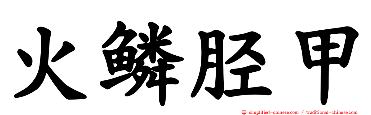 火鳞胫甲