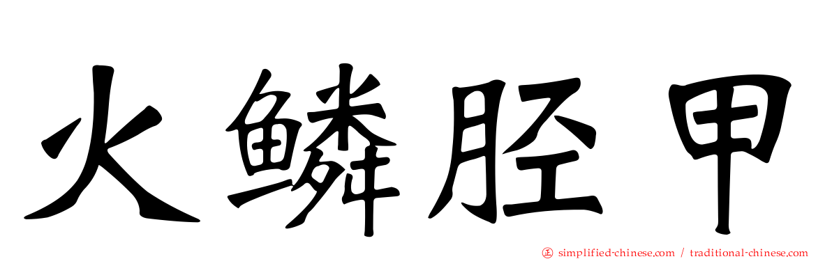 火鳞胫甲