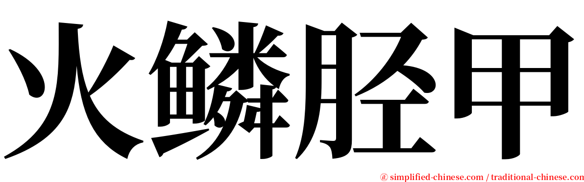 火鳞胫甲 serif font