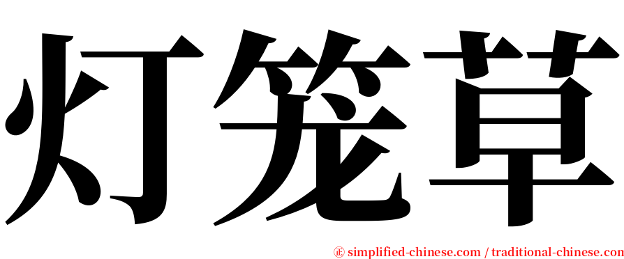 灯笼草 serif font