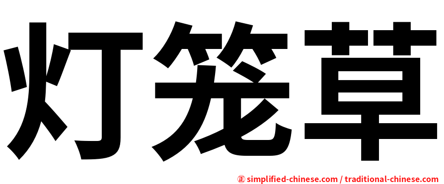 灯笼草